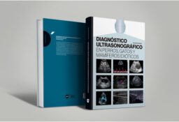 diagnóstico ecográfico