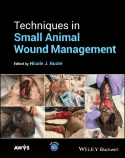 wound management