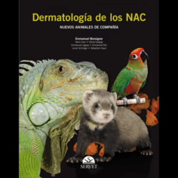 DERMATOLOGÍA NAC