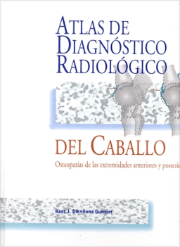 diagnóstico radiológico caballo