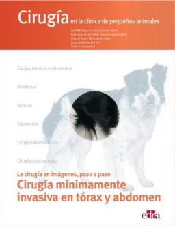 Cirugía mínimamente invasiva en tórax y abdomen