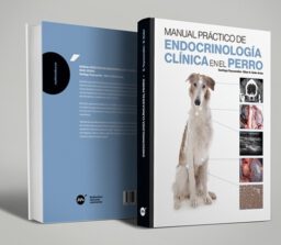 Endocrinología perro