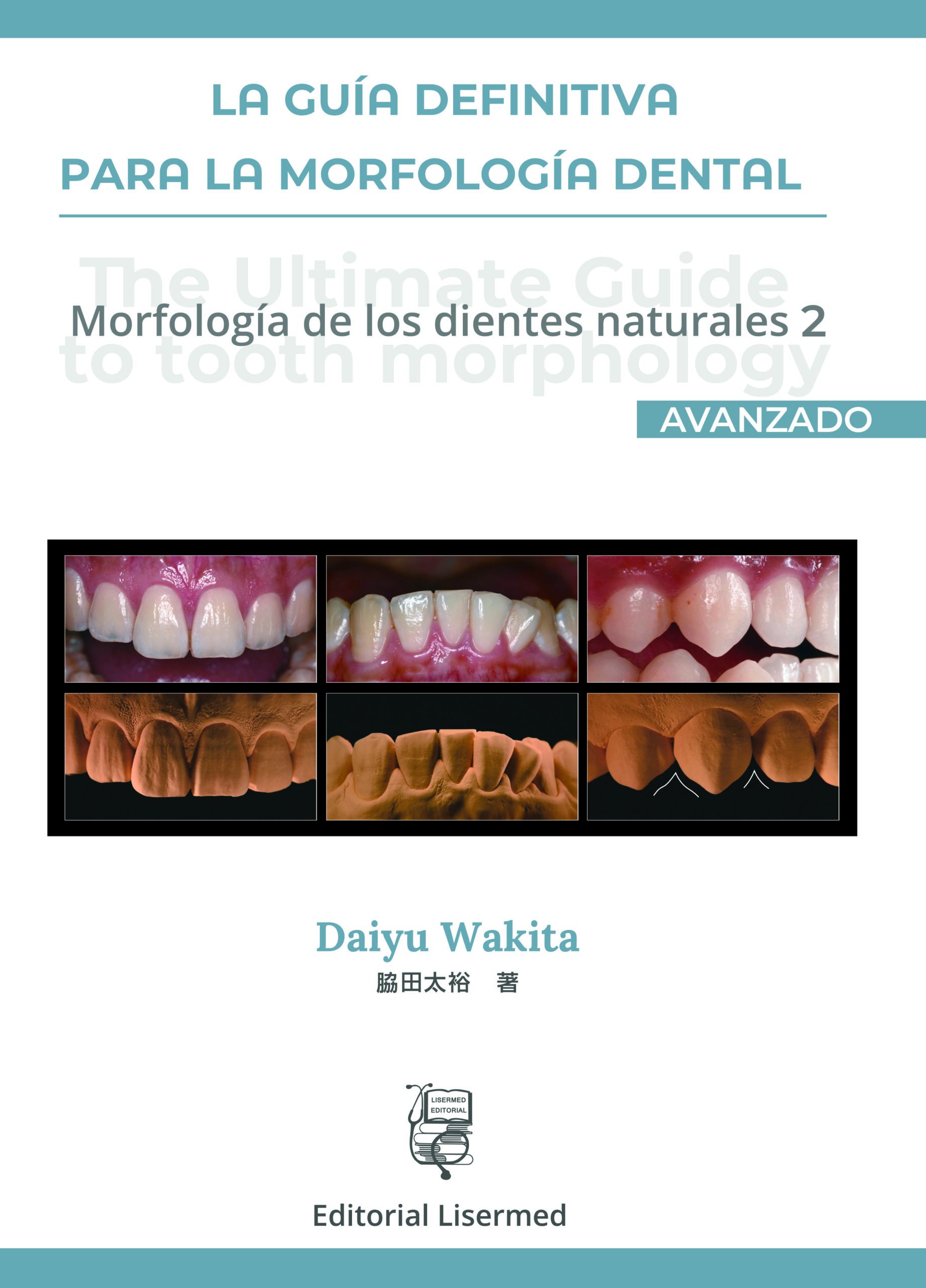 La guía definitiva para la morfología dental. Morfología de los dientes naturales 2 (Avanzado) Daiyu Wakita