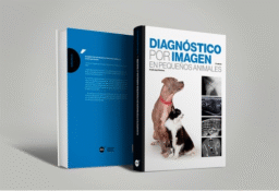 Diagnóstico por imagen en pequeños animales, 2ª edición