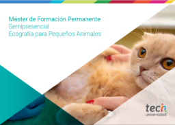 Máster de Formación Permanente Semipresencial Ecografía para Pequeños Animales